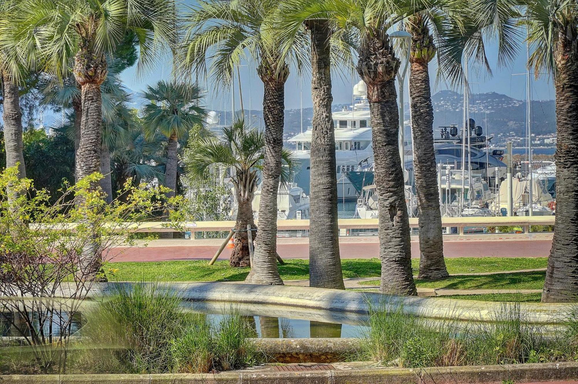 Le Palm - 100M Plage - Croisette - Verriere Cote D'Azur 칸느 외부 사진