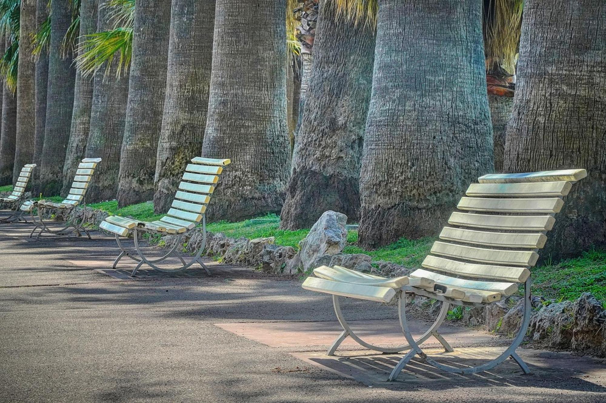 Le Palm - 100M Plage - Croisette - Verriere Cote D'Azur 칸느 외부 사진