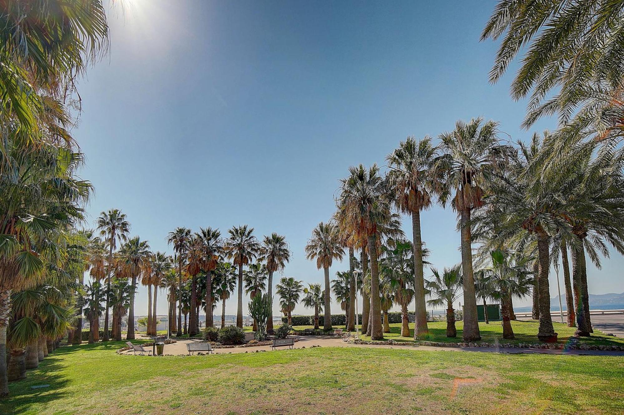 Le Palm - 100M Plage - Croisette - Verriere Cote D'Azur 칸느 외부 사진