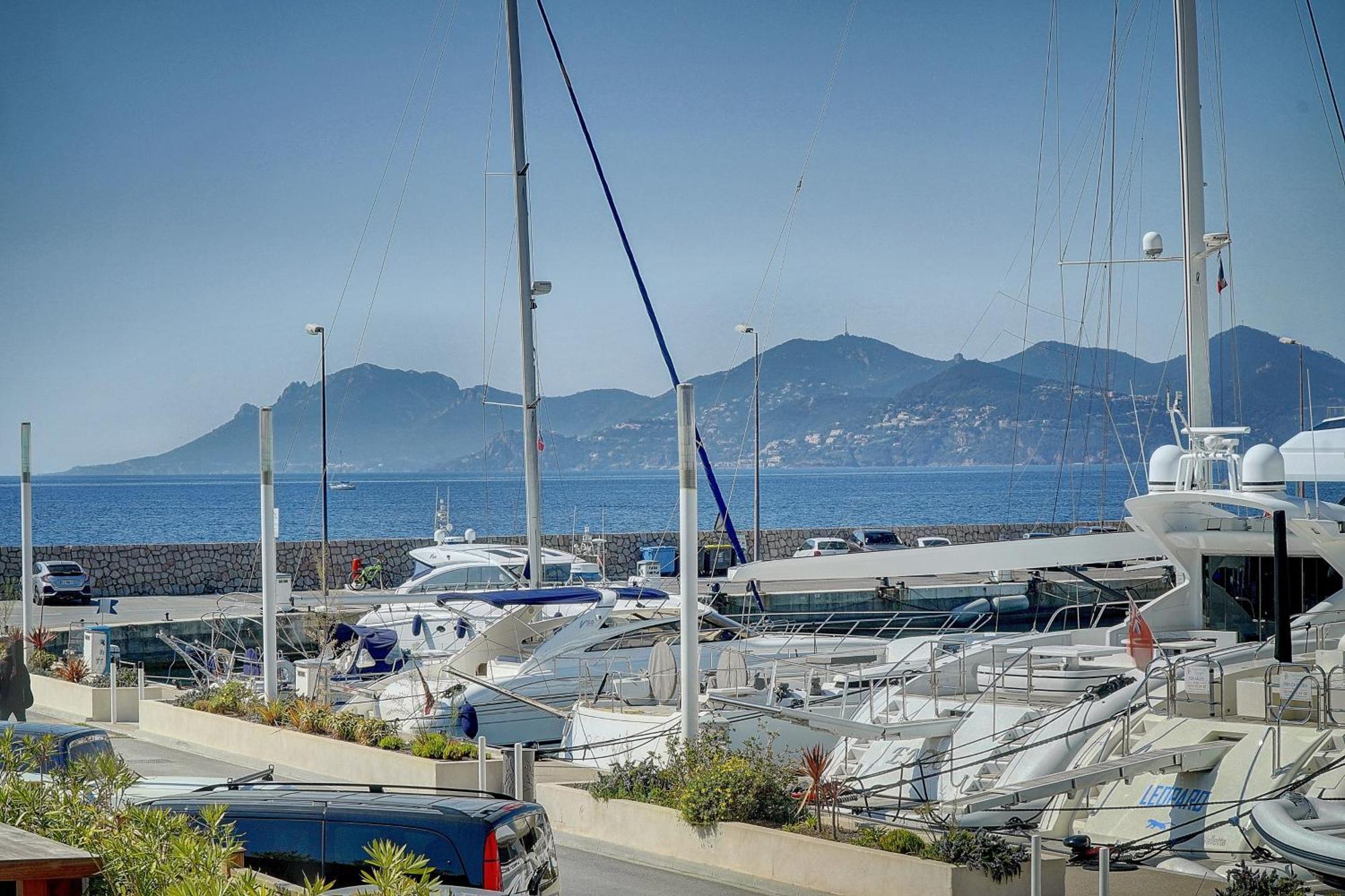 Le Palm - 100M Plage - Croisette - Verriere Cote D'Azur 칸느 외부 사진
